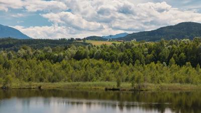 Ainringer Moos im Berchtesgadener Land Moor Torf Naturschutzgebiet Ulrichshögl