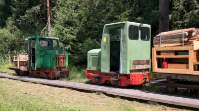 Ainringer Moos im Berchtesgadener Land Moor Torf Naturschutzgebiet Feldbahn