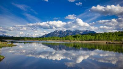Ainringer Moos im Berchtesgadener Land Moor Torf Naturschutzgebiet