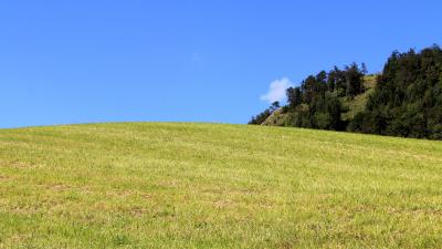 Gaisberg Salzburg Salzburger Land Wandern Wanderpfad